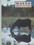 Maine Fish and Wildlife Magazine, Summer 1978