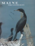 Maine Fish and Wildlife Magazine, Summer 1979 by Maine Department of Inland Fisheries and Wildlife