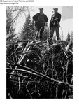 Beaver Management by Maine Departmentof Inland Fisheries and Wildlife