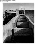 Dams by Maine Department of Inland Fisheries and Game
