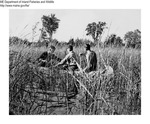 Deer Management Research - Collecting Wild Rice by Maine Departmentof Inland Fisheries and Wildlife