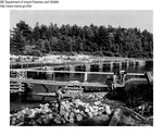 Fish - Salmon Counting Weir, Narraguagus River by Maine Departmentof Inland Fisheries and Wildlife