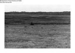 Misc Marshes - Weskeag Marsh - Duck Nesting Area by Maine Department of Inland Fisheries and Wildlife and Bill Cross