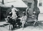 Goat Wagon and Kids
