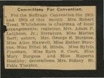 Committees for Convention