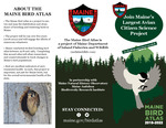 Maine Bird Atlas Brochure