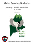 Colonial Waterbirds Survey Guidance, 2019 – Maine Bird Atlas