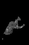 Common Nighthawk Modeled Occupancy Probability, Maine Bird Atlas 2