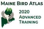 Maine Bird Atlas Summer 2020 Kickoff Training - Advanced