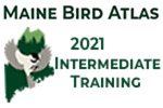 2021 Maine Bird Atlas Kickoff Event - Intermediate Trianing Session