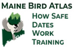 How Safe Dates Work Training