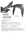 Maine Birdlife Magazine : August 1984