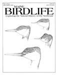 Maine Birdlife Magazine : December 1984