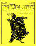 Maine Birdlife Magazine : Summer 1985