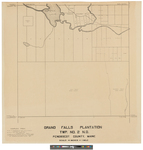 Grand Falls Plantation, TWP No. 2 N.D. by James W. Sewall