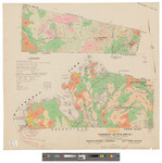Gore A2, TA2, R13 and 14 WELS. Shows forest type, roads and telepone lines. Board of Assessors. by James W. Sewall