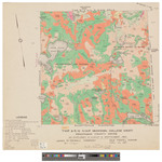T8, R10 NWP, Bowdoin College West. Shows forest type and roads in color. Board of Assessors. by James W. Sewall