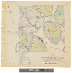 T5, R13 WELS, Chesuncook township. Shows forest type and roads. Board of Assessors. by James W. Sewall