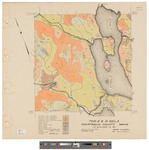 T8, R13 WELS, Eagle Lake township. Shows forest type in color. by James W. Sewall
