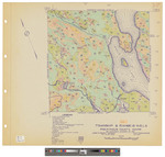 T8, R13 WELS, Eagle Lake township. Shows forest type, roads and camps. by James W. Sewall