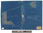 Hartford's Point township. Shows cottage lots on lake. Blueprint. by Ezekiel L. Chase