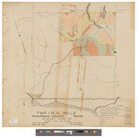 T1, R13 WELS, Wildland township. Shows forest type in color. by James W. Sewall