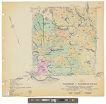 T1, R13 WELS, Wildland township. Shows forest type, public lots and roads in color. by James W. Sewall