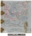 TA, R11 WELS. Shows forest type, roads and burnt land in color. Tracing. by James W. Sewall