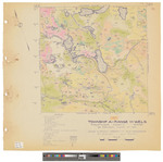 TA, R11 WELS. Shows forest type and roads in color. by James W. Sewall
