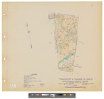 TX, R14 WELS. Shows forest type and roads. by James W. Sewall
