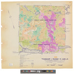 T1, R12 WELS, Wildland township. Shows forest type and roads in color. by James W. Sewall