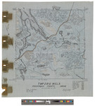 T2, R12 WELS, Wildland township. Shows forest typeand roads. Tracing. by James W. Sewall