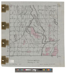 T2, R13 WELS, Wildland township. Shows roads, topography and Grant Farm. Tracing. by J. D. Ring