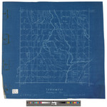 T2, R13 WELS, Wildland township. Shows roads, phone lines, topography and Grant Farm. Blueprint. by J. D. Ring
