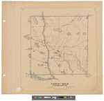 T3, R10 WELS, Wildland township. Shows roads public lot and camps. by James W. Sewall