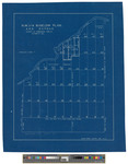 Township 4 Range 3, BKP WKR, Bigelow Township. Shows lots and public lots in Northwest quarter. Blueprint. by C G. Reed
