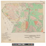 Township 6 Range 19 WELS, Big 6 Township. Shows forest type, roads, camps and telephone lines. by James W. Sewall