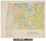 Township 10 Range 17 WELS, Big 10 Township. Shows forest type, lots and roads in color. by James W. Sewall
