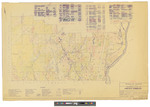 Concord Township, Bureau of Taxation. Old tax plan shows forest type and lots, plan 2 of 4 in color. by James W. Sewall
