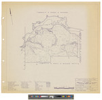 Township 4 Range 3 BKP WKR, Bigelow Township, Shows forest type, roads and public lot, north half. by James W. Sewall