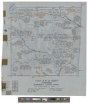 Township 3 Range 4 NBKP, Hammond Township. Shows forest type, telephone lines and roads in color. by James W. Sewall