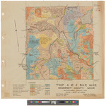 Township 4 Range 1 BKP WKR King and Bartlett Township. Shows forest type, public lots roads and land owners in color. by James W. Sewall