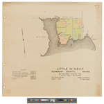 Little W Township, NBKP. Shows forest type, public lot and land owners in color. by James W. Sewall