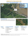Alan Brooks Lubec Salt Ponds, Lubec, Maine