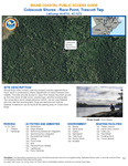 Cobscook Shores - Race Point, Trescott Twp., Maine