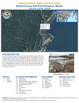 Rachel Carson Salt Pond Preserve, Bristol, Maine