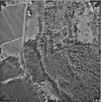 Aerial Photo: DOT90-81-4