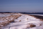 Sand on Snow in Dunes by Joseph Kelley