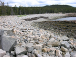 Schoodic Point boulder beach
