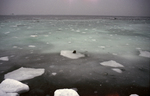 sea ice at Great Hill in Kennebunk by Joseph Kelley